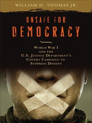cover image of Unsafe for Democracy